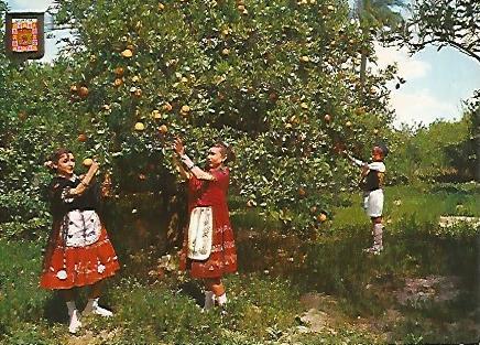 POSTAL A0327: Naranjos de Murcia