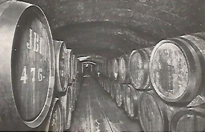 POSTAL A0344: Vinos en crianza. Codorniu