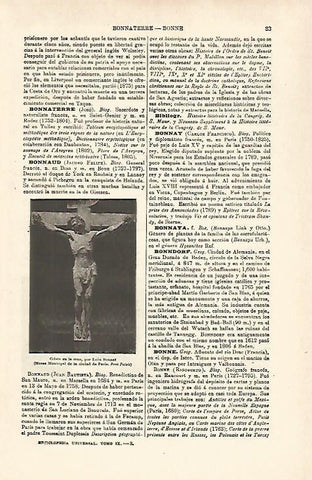 LAMINA ESPASA 25244: Cristo en la cruz por Leon Beonnat