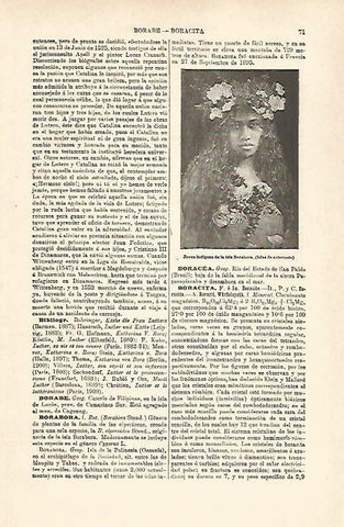 LAMINA ESPASA 25248: Joven indigena de las islas Borabora
