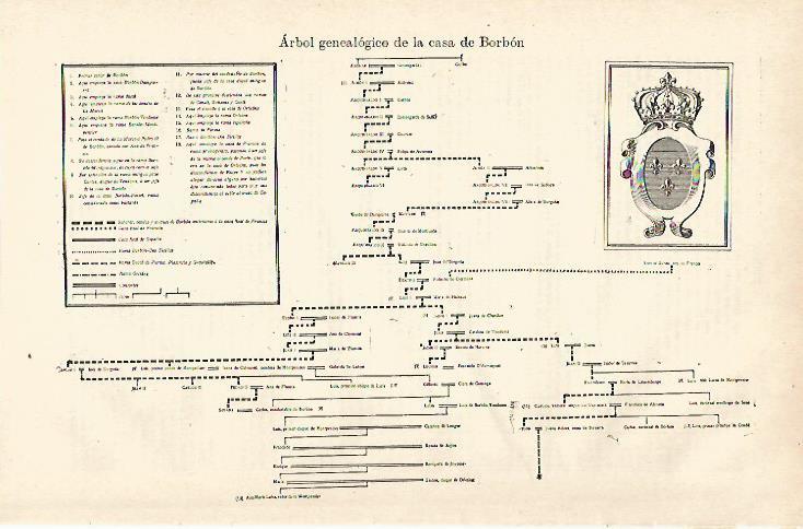 LAMINA ESPASA 25249: Arbol genealogico de la casa de Borbon