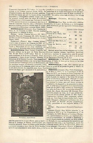 LAMINA ESPASA 25258: Puerta Sultana en Bordighera