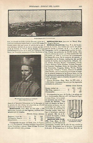 LAMINA ESPASA 25270: Les Borges Blanques en Lleida