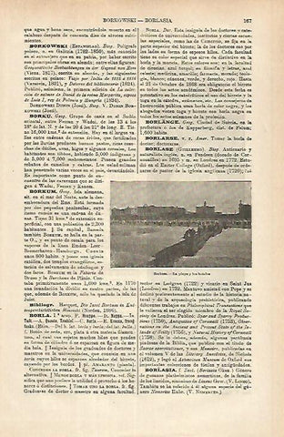 LAMINA ESPASA 25271: Playa de Borkum Alemania