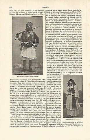 LAMINA ESPASA 25284: Turco bosniano
