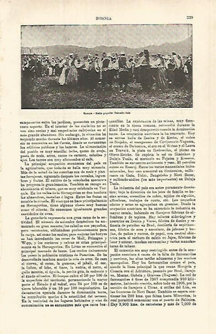 LAMINA ESPASA 25285: Baile popular de Bosnia