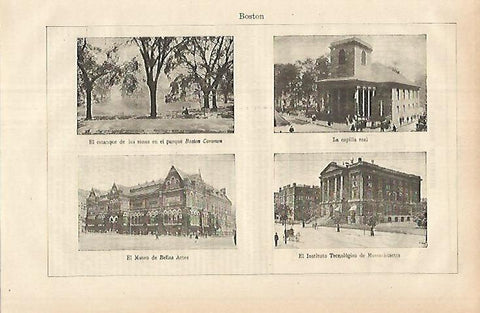LAMINA ESPASA 25293: Edificios de Boston
