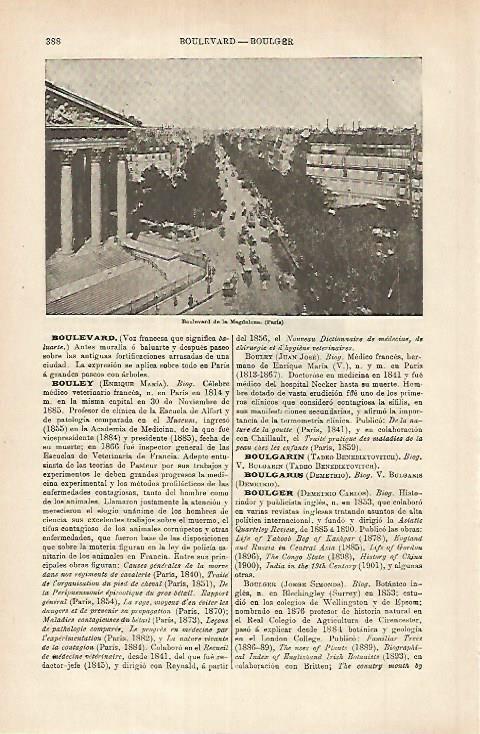LAMINA ESPASA 25307: Boulevard de la Magdalena en Paris