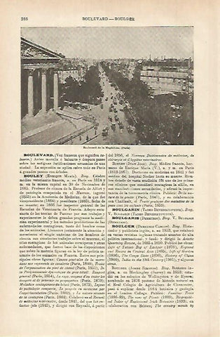 LAMINA ESPASA 25307: Boulevard de la Magdalena en Paris