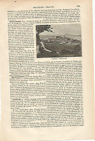 LAMINA ESPASA 25327: Vista de Bracciano