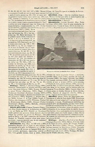 LAMINA ESPASA 25332: Monumento a Brahme en Viena
