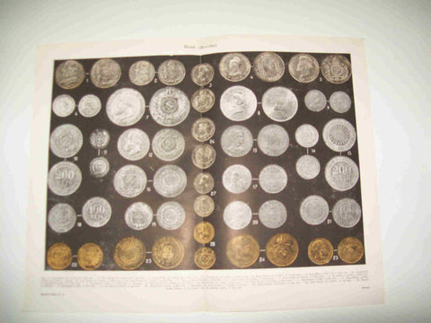 LAMINA ESPASA 25345: Monedas de Brasil
