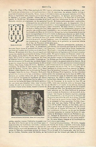 LAMINA ESPASA 25375: Escudo de Bretaña 