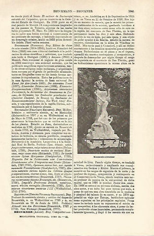 LAMINA ESPASA 25415: Monumento a Bruckner