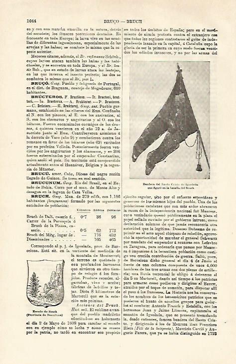 LAMINA ESPASA 25416: Bandera del Santo Cristo de Igualada