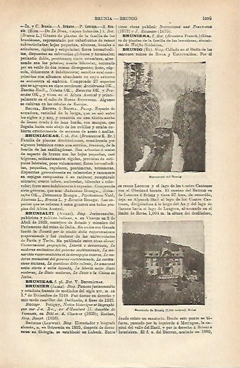 LAMINA ESPASA 25427: Ferrocarril del Brunig