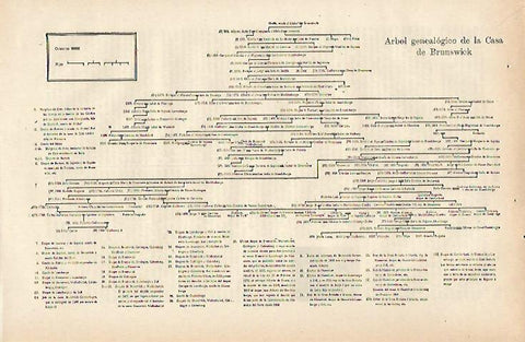 LAMINA ESPASA 25438: Arbol genealogico de la Casa de Brunswick