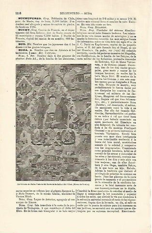 LAMINA ESPASA 25463: La historia de Buda