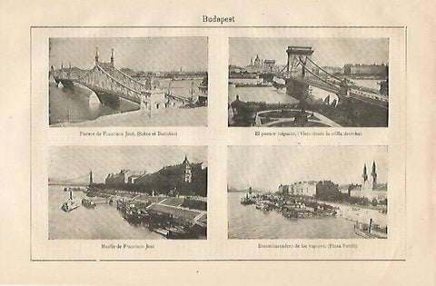 LAMINA ESPASA 25470: Puentes de Budapest Hungria