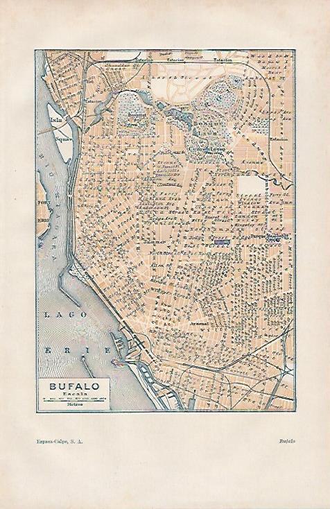 LAMINA ESPASA 25499: Plano de Buffalo