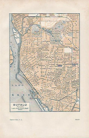 LAMINA ESPASA 25499: Plano de Buffalo