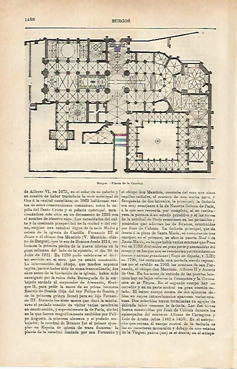 LAMINA ESPASA 25525: Planta de la Catedral de Burgos