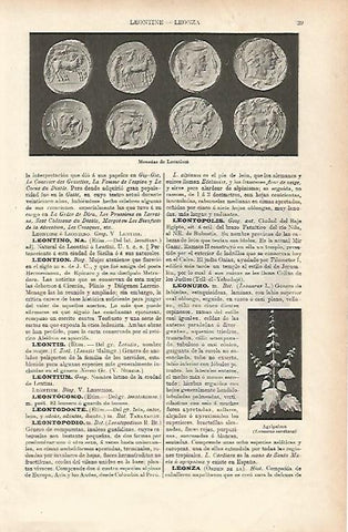 LAMINA ESPASA 25561: Monedas de Leontium