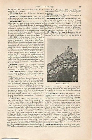 LAMINA ESPASA 25567: Castillo de Leotoing Francia