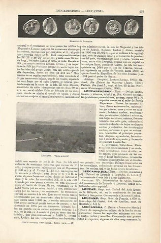 LAMINA ESPASA 25612: Vista general de Leucadia Grecia