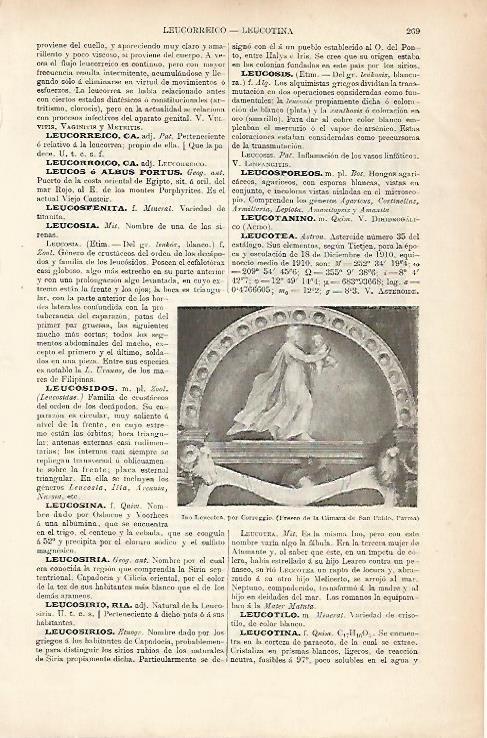 LAMINA ESPASA 25614: Ino Leucotea por Correggio