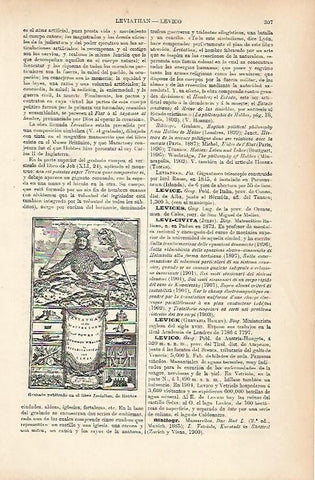 LAMINA ESPASA 25618: Grabado del libro Leviathan de Hobbes