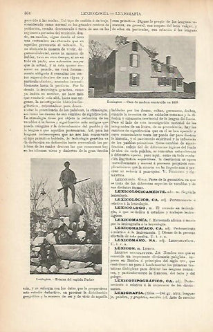 LAMINA ESPASA 25620: Casa y Estatua en Lexington Estados Unidos