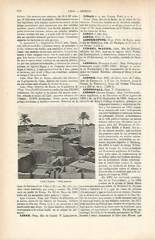 LAMINA ESPASA 25657: Vista de Lydda Rusia