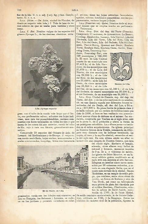 LAMINA ESPASA 25676: Escudo de Lila Francia