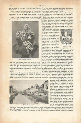 LAMINA ESPASA 25676: Escudo de Lila Francia