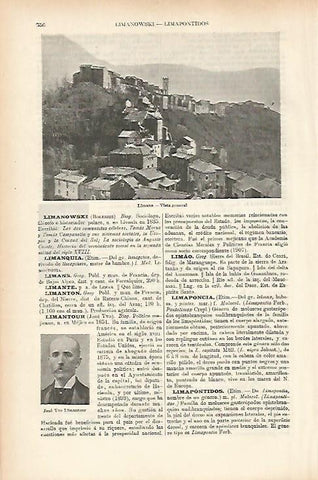 LAMINA ESPASA 25691: Vista de Limana Italia
