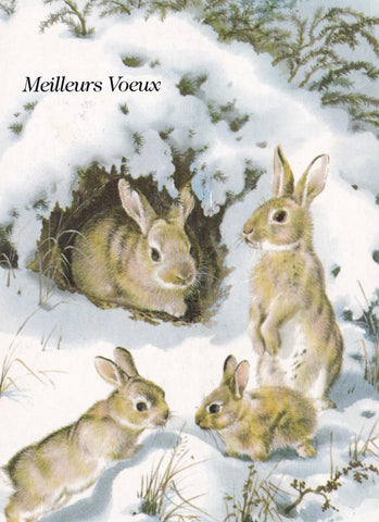 POSTAL 18733: Meilleurs Voeuxs