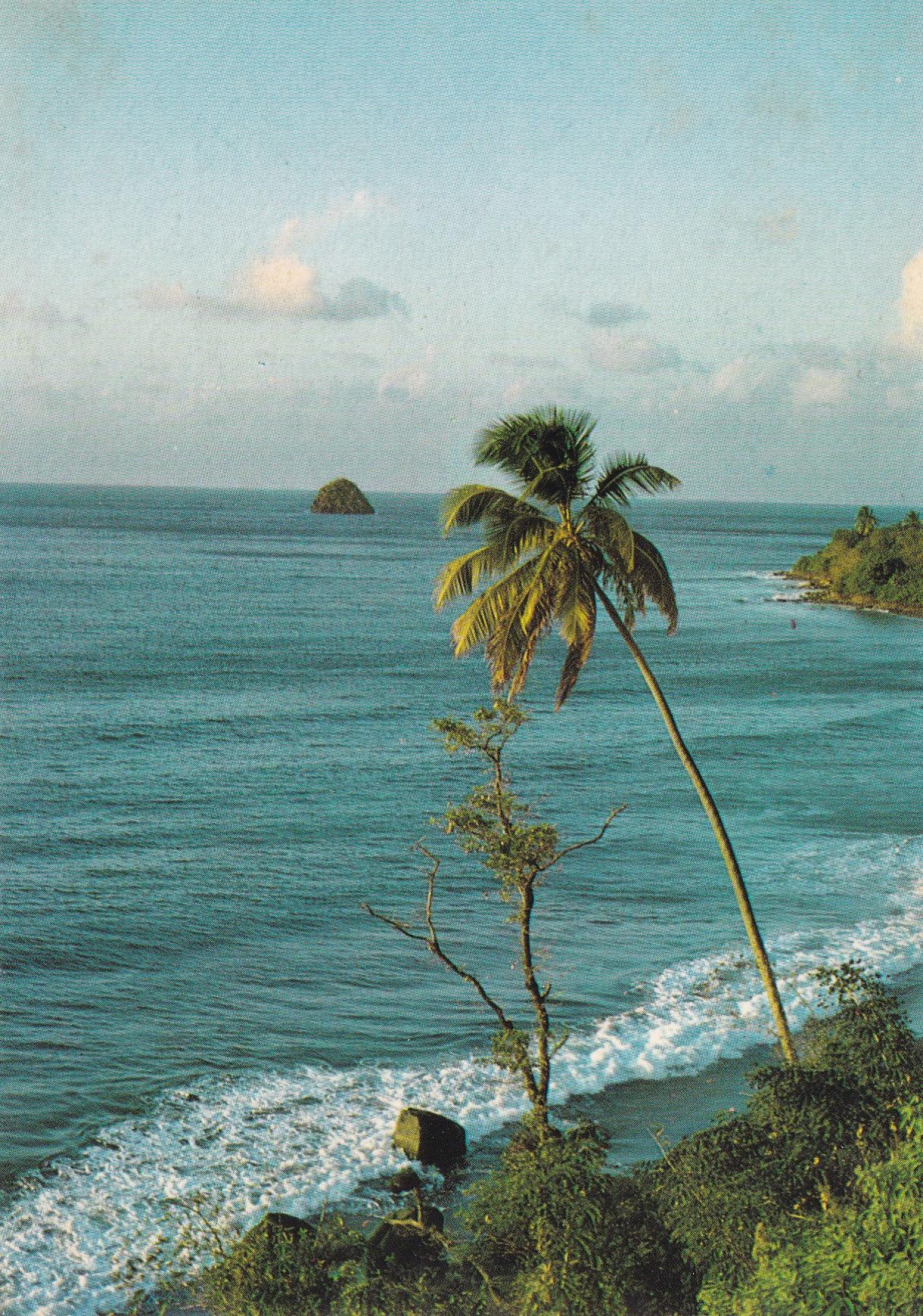POSTAL 18766: Martinique - Precheur 
