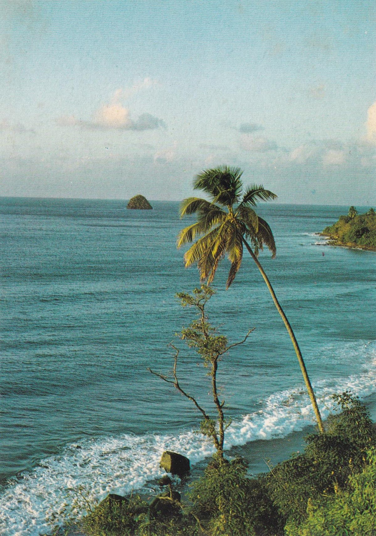 POSTAL 18766: Martinique - Precheur 