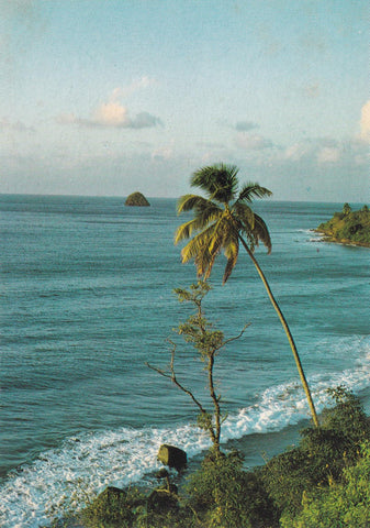 POSTAL 18766: Martinique - Precheur 