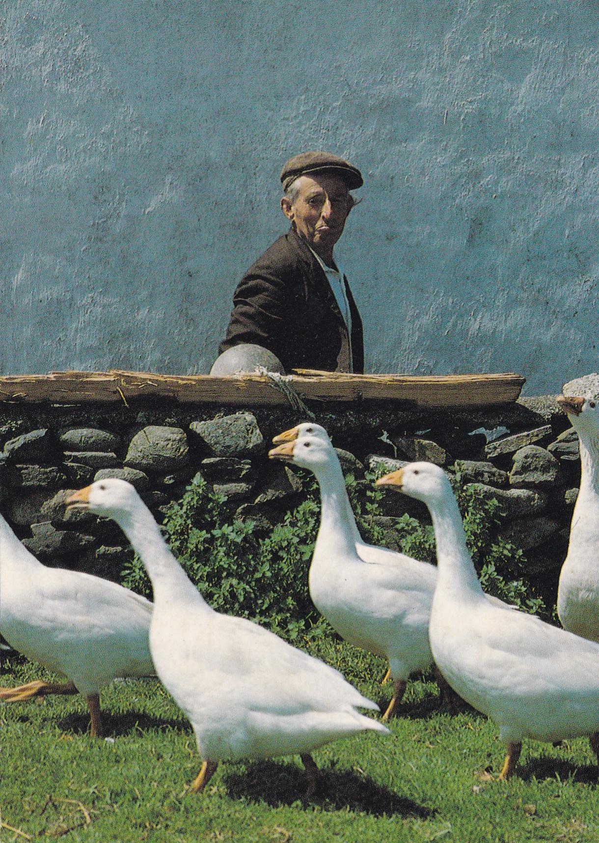 POSTAL 18789: Real Ireland