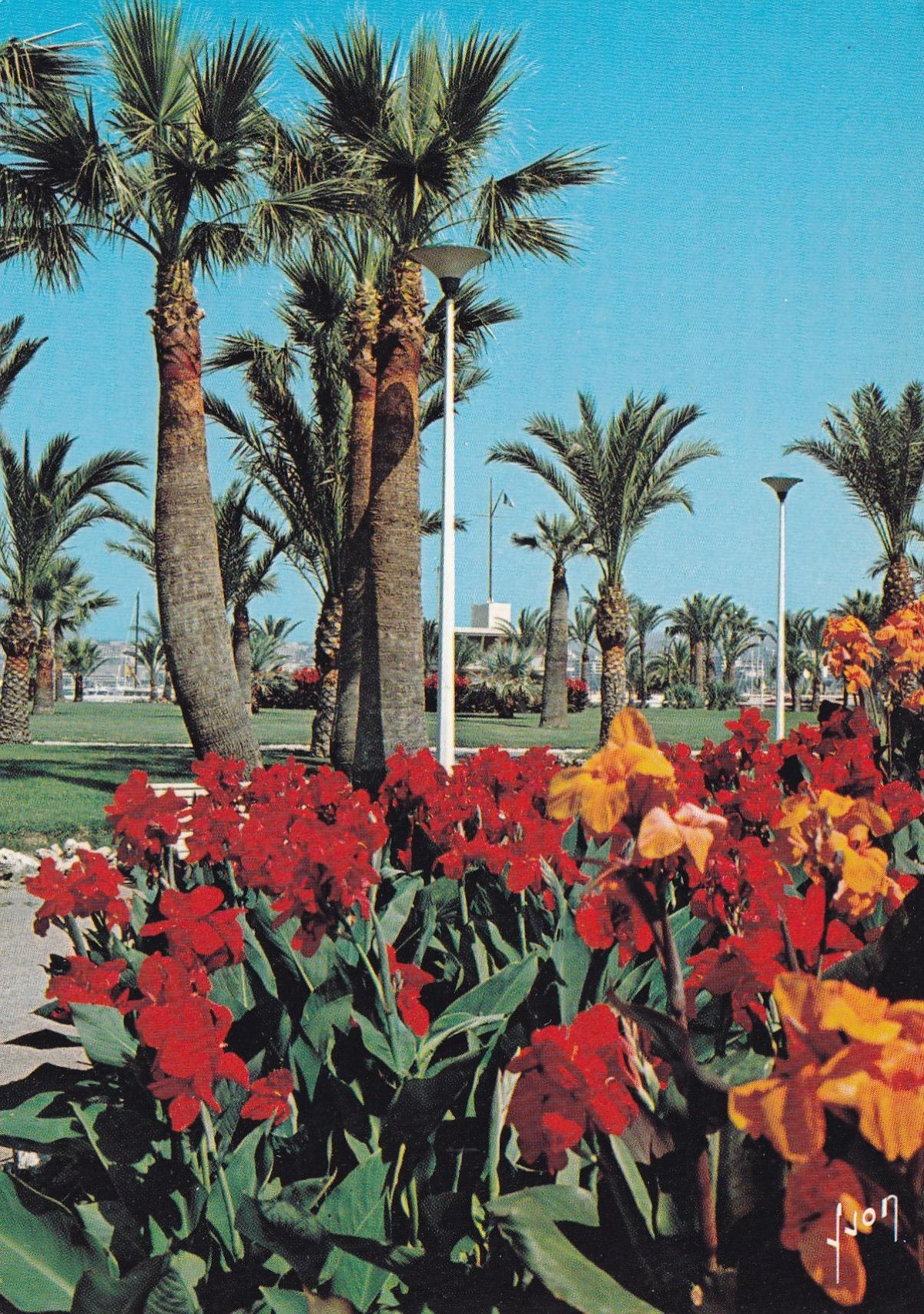 POSTAL 18821: Cannes