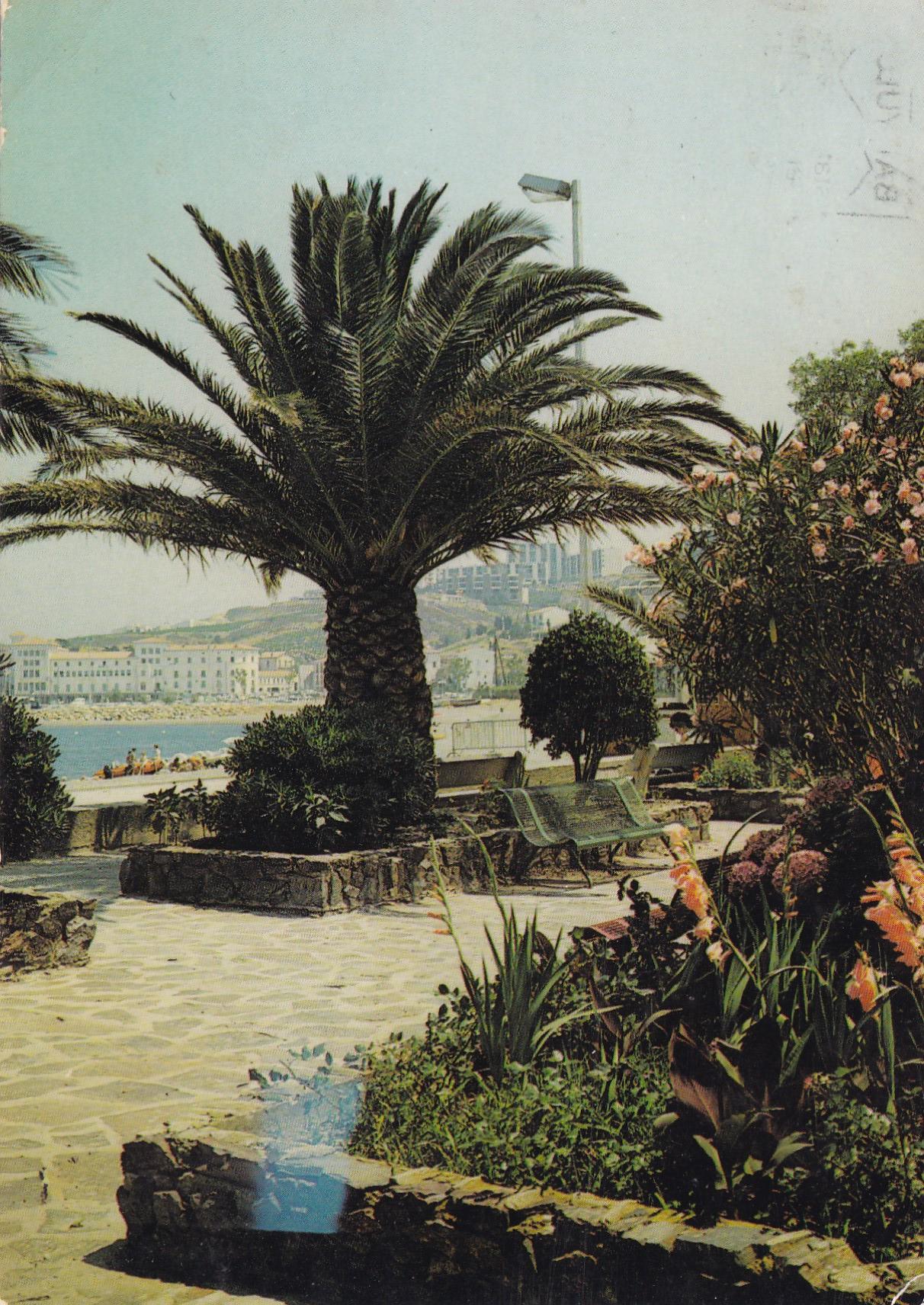 POSTAL 18841: Banyuls-sur-mer Cote Vermeille