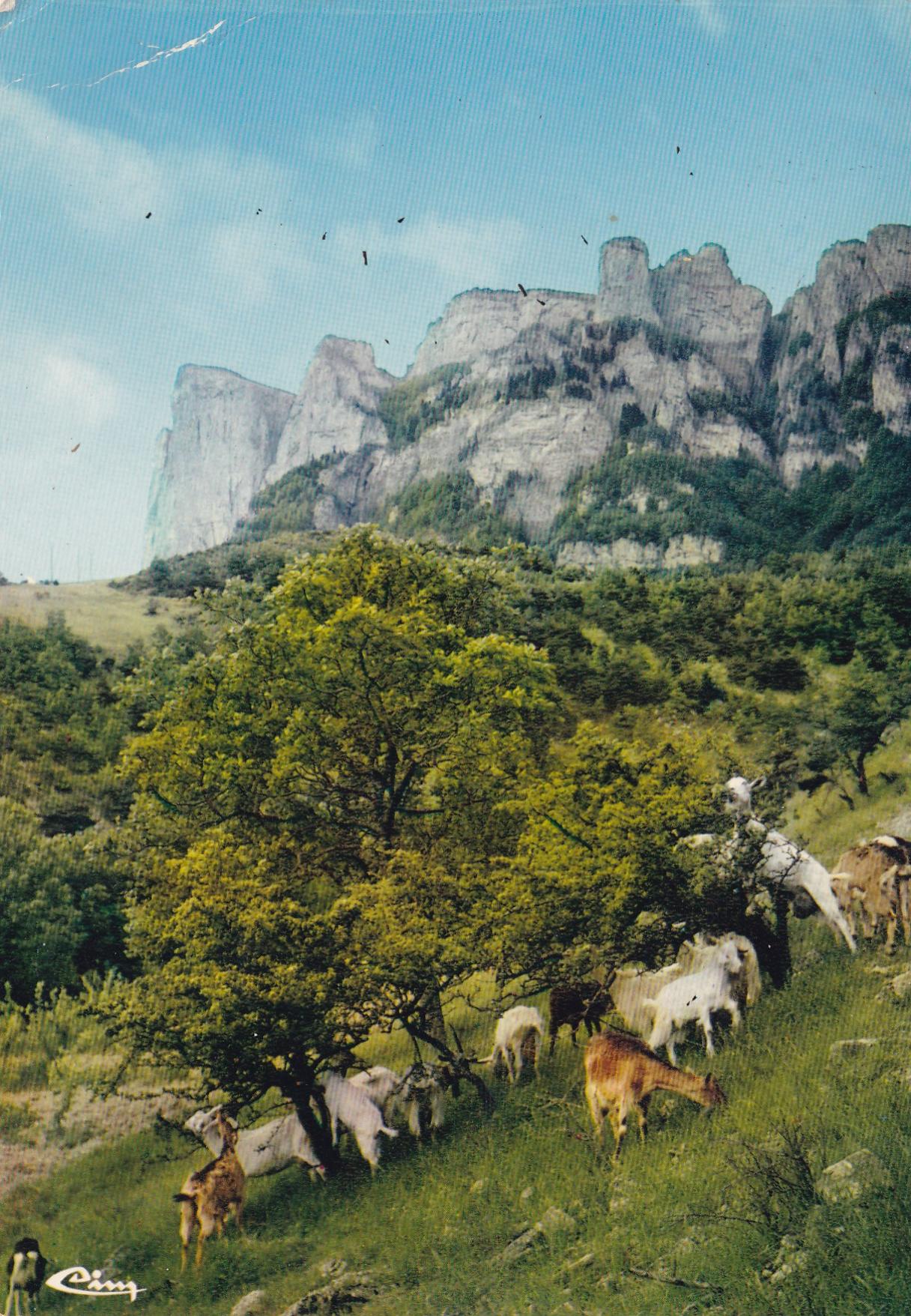 POSTAL 18852: Saillans
