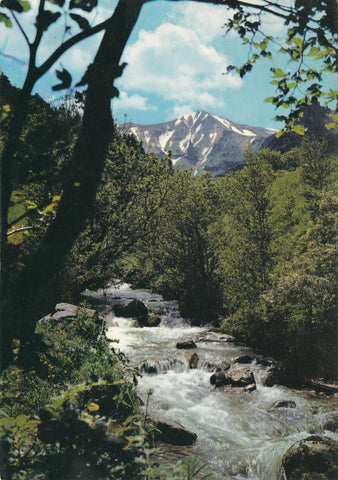 POSTAL 18876: La Couze de Chambon