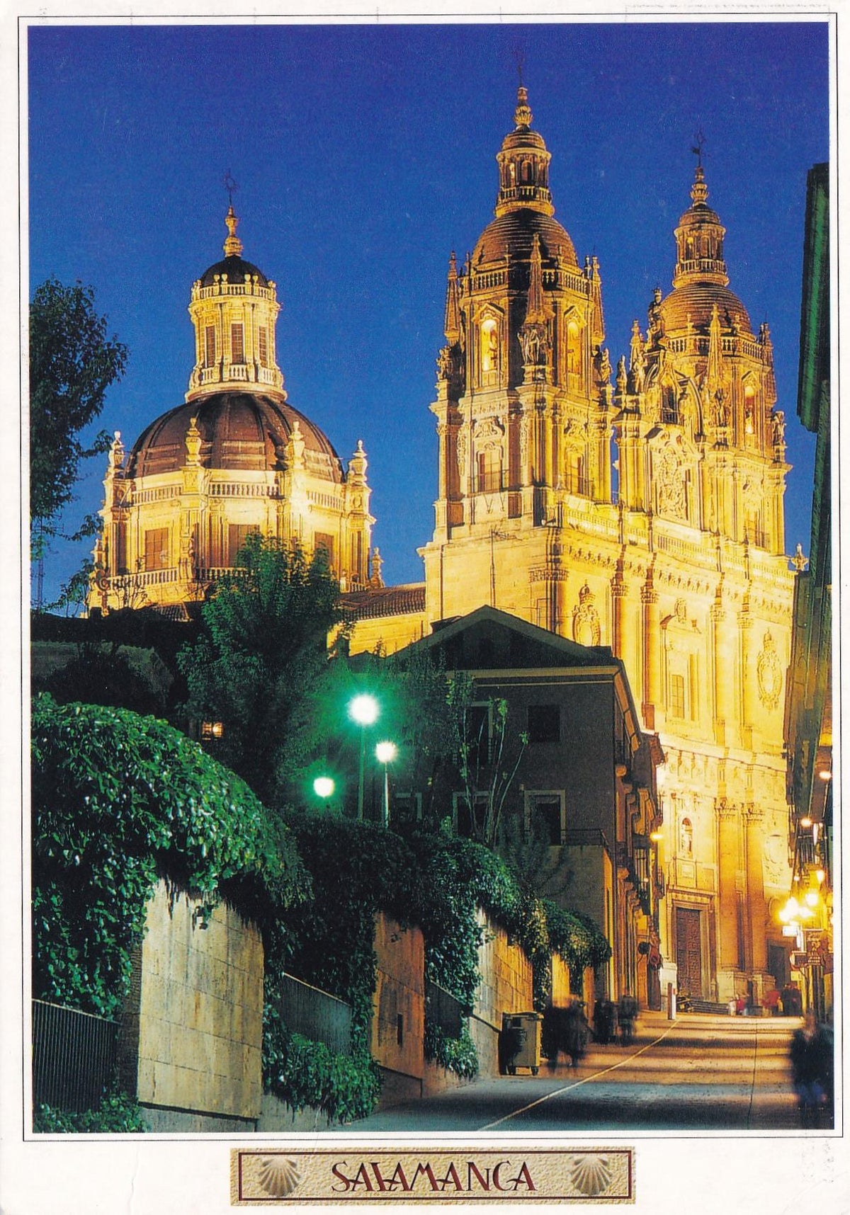 POSTAL 18899: Salamanca