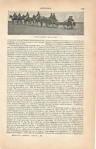 LAMINA ESPASA 5634: Artilleria de campaña