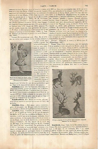 LAMINA ESPASA 10688: Maestro de los Naipes