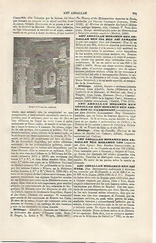 LAMINA ESPASA 13199: Templo de Vimala Sah del siglo XI