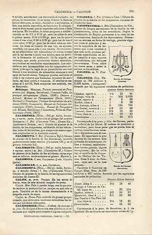LAMINA ESPASA 14735: Escudo de Calonge Girona